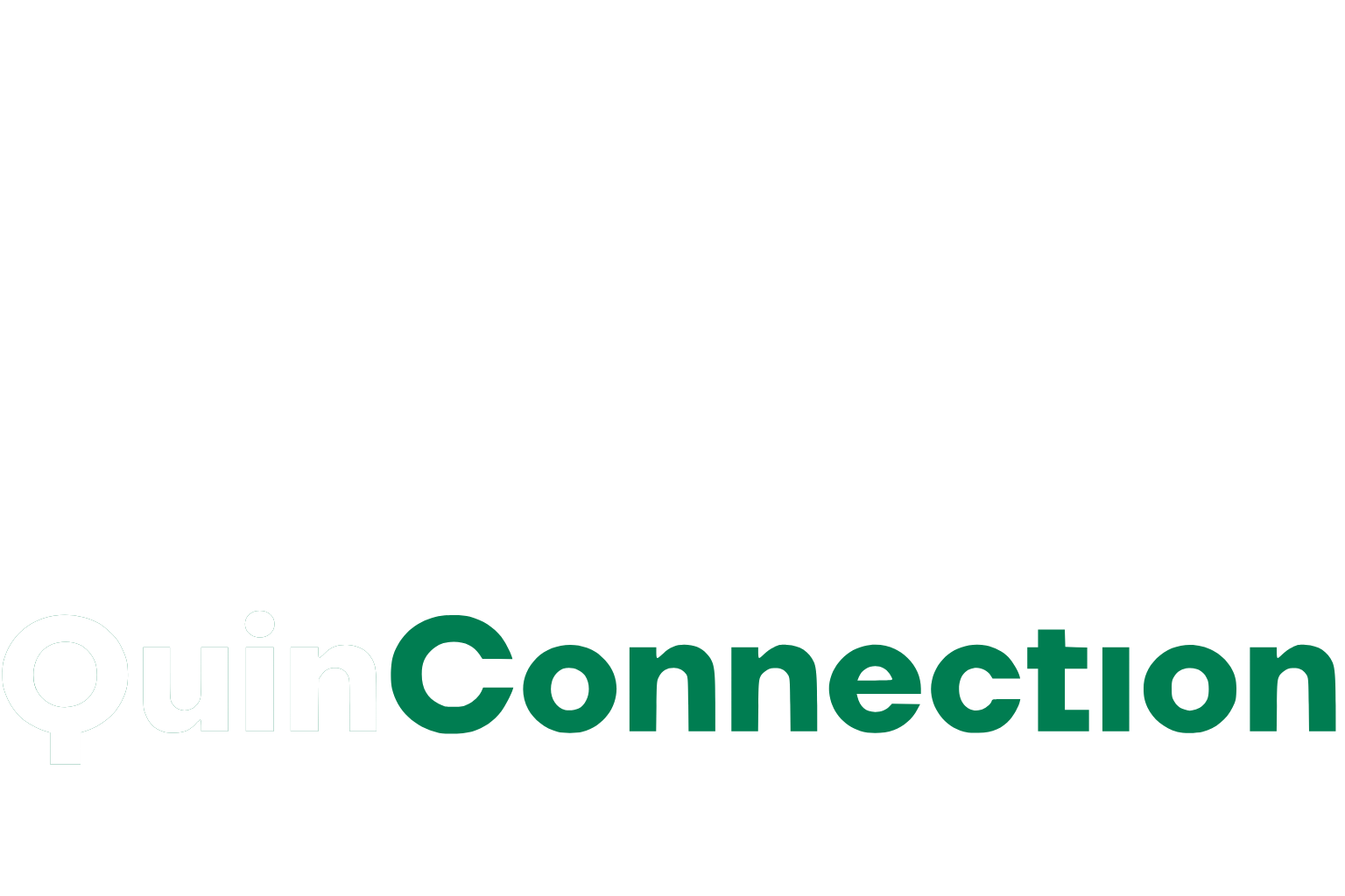 Inicio - QuinConnection